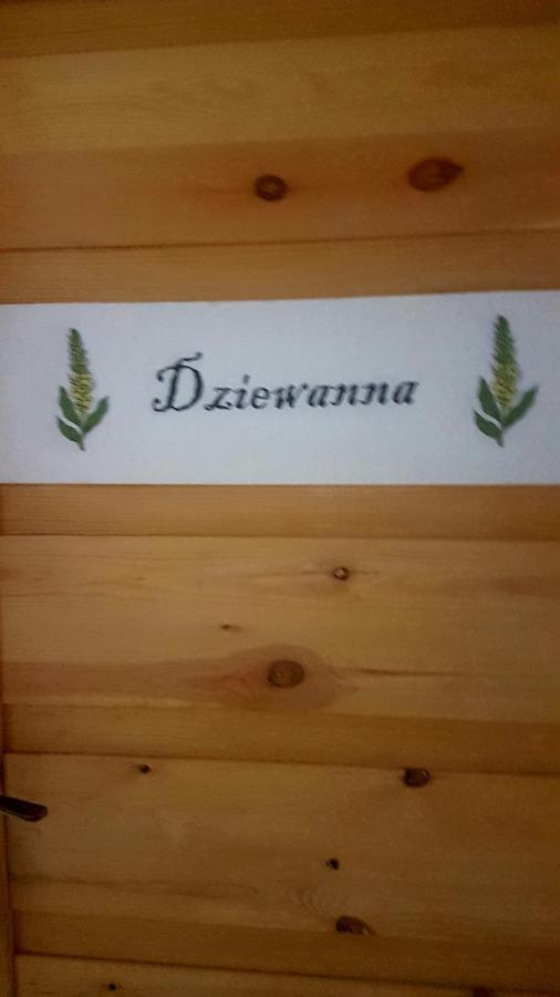 Dziewanna Leilighet Brzeziniec Eksteriør bilde
